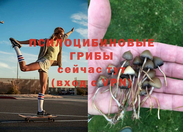 МДПВ Майский