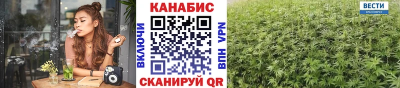 мега tor  Людиново  Конопля индика 